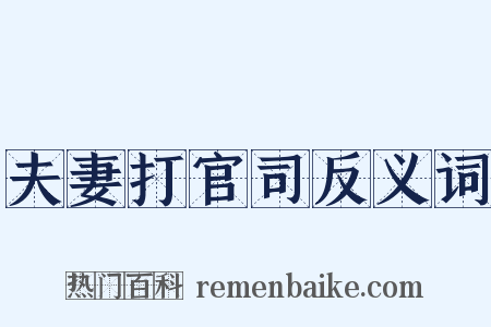 夫妻打官司反义词是什么意思的图片